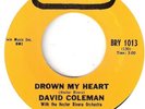 NORTHERN SOUL  DAVID COLEMAN   