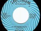 Modern Soul Funk 45 SPECTRUM Private Press Virginia mp3