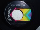 The Inexpensive Handmade Look - Ice Cream Man - rare 45