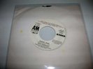 45 SIXTO RODRIGUEZ SUGAR MAN FOLK PSYCH FUNK RARE 1972