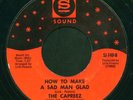 CAPREEZ rare northern soul How To Make A Sad Man 45