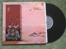 JADE WARRIOR RELEASED LP RECORD NM VERTIGO 1971