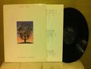 Talk Talk, Laughing Stock. LP