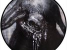 TRIPTYKON Hellhammer Celtic Frost  ltd Pic Discs +BONUS