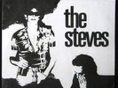 STEVES In A Room +2 SYNTH PUNK 80s RARE MP3