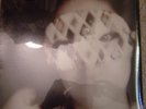 Come don't ask don't tell SEALED LP Codeine Thalia