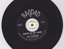 Surf Inst 45 ZIRCONS Surfing In The Sunset BAGDAD HEAR