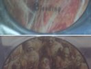CANNIBAL CORPSE - The Bleeding RARE PICTURE DISC LP