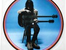 BORIS AKUMA NO UTA PICTURE DISC LP MELVINS SUNN O RARE