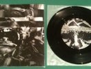 Integrity / Pale Creation Split 7