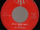 45 THE SCAVENGERS 60s BEAT PSYCH GARAGE BAND IOWA IGL