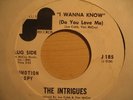 THE INTRIGUES - fly now - JANUS - SOUL CROSSOVER