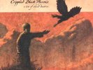 CRIPPLED BLACK PHOENIX - A LOVE OF SHARED DISASTERS LP