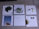 Coil The Ape of Naples/New Backwards Boxset (Blk Vinyl)
