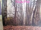 TWINK - THINK PINK 2343-032