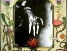 COYOTE - SAME PRIVATE PSYCH SOUTHERN ROCK LP