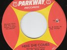 NORTHERN 45 The Tymes (Parkway) Here She Comes MISPRESS