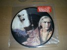 Nirvana / Jesus Lizard split 7