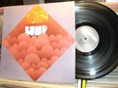 BUMP SELF TITLED REISSUE PSYCH ACID LP RECORD