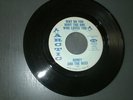 NORTHERN SOUL-  HONEY and THE BEES -       ARCTIC