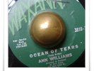 Ann Williams Ocean Of Tears RARE POPCORN SOUL HEAR 45