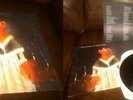 PHISH THE STORY OF THE GHOST VINYL RECORD LP W/ INSERT