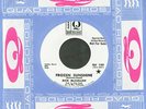 Rick McClellan Rare Mod Psych WLP 45 Frozen River HEAR