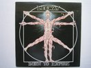 Leeway 12