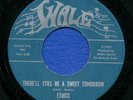 NORTHERN / SWEET - ETHICS on WALE - FAB. MINT MINUS