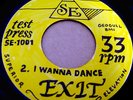 EXIT - detroit leaning - TEST PRESS  SUPERIOR ELEVATION
