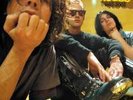 The Flaming Lips Heady Nuggs Record Store Day LP BOX