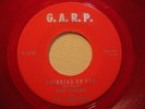 THE VELVETONES - mister x - GARP - R&B SURF