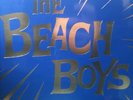 The Beach Boys Good Vibrations Record Store Day
