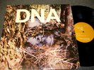A TASTE OF DNA-RARE NO WAVE DEBUT EP-ARTO LINDSAY