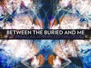 Between The Buried And Me Record Store Day RSD Parallax
