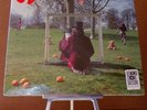Syd Barrett - An Introduction 12