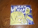 The Wonder Years Wont Be Pathetic Forever title fight