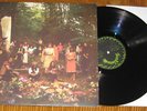 Feathers - Family LP psych folk Devendra Banhart s/t