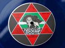 DON CARLOS McCarlos-I Love Jah-NEGUS ROOTS Blue 12” EX