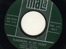 BELGIUM POPCORN + TEEN--MALA--DAVID GATES-HEAR BOTH