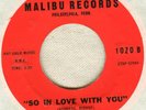 Anna King So In Love / Between Tears Malibu Northern 45