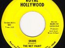 Wet Paint-Shame '66 IL AWESOME 2-sider G45 #532 HEAR
