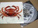 Mariachi El Bronx - THE BRONX - RARE OOP CLEAR NM- ORIG