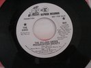 Kinks 45 promo record The Village Green Preservation..