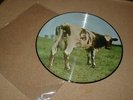 PINK FLOYD,ATOM HEART MOTHER, PICTURE DISC,LP