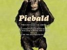 PIEBALD - Vol 1-3 (Colored Vinyl 3 LP's RSD)