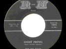 DEL-RAYS NIGHT PROWL 1965 MOD GARAGE ROCK 45 MAD MIKE ?