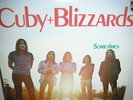 LP CUBY AND THE BLIZZARDS SOMETIMES