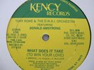 Tony Rome & D.W.A.I. Orchestra What Does It Take 12