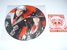 The White Stripes Icky Thump picture disc vinyl 7 